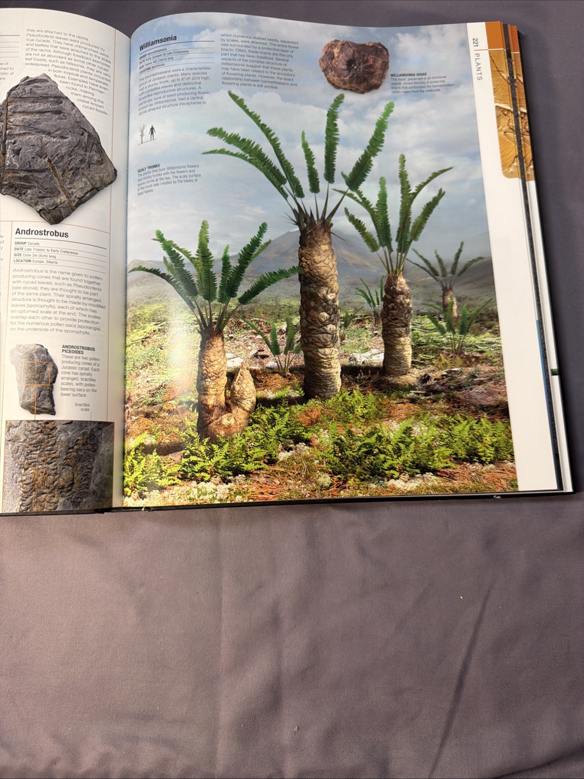 Dinosaurs & Prehistoric Life: The Definitive Visual Guide to Prehistoric Animals