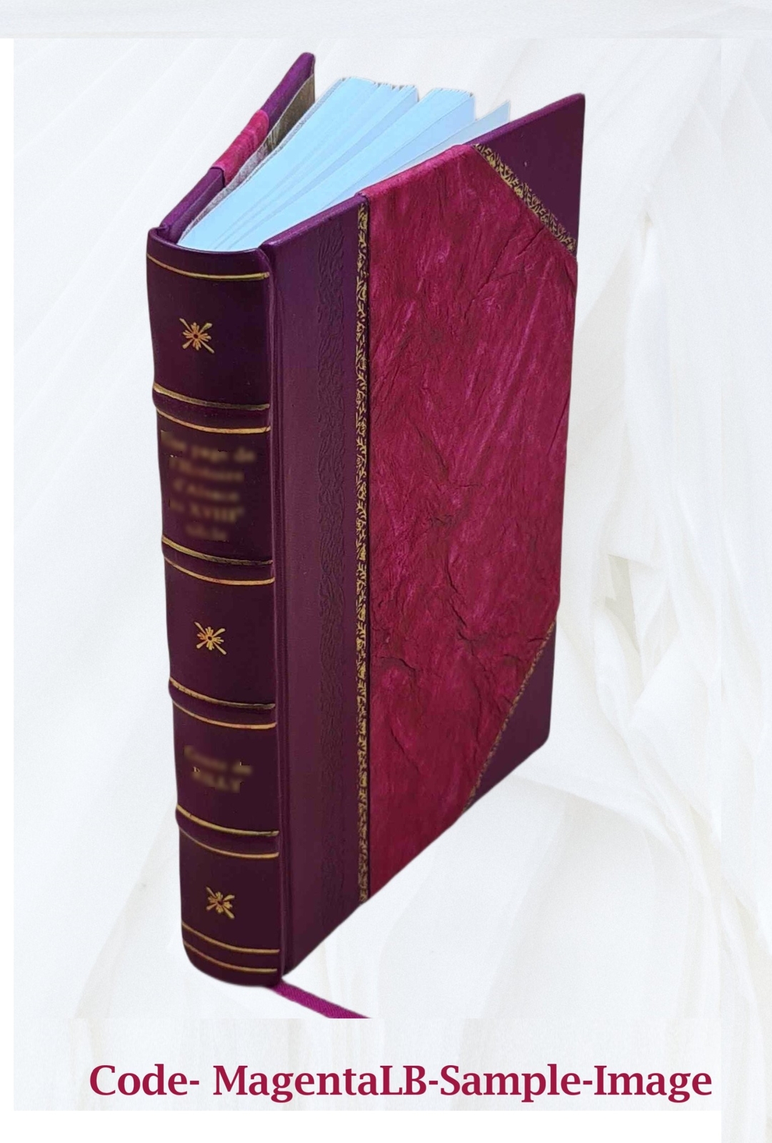 The Graphic And Historical Illustrator An Original Miscellany Of [Leather Bound]