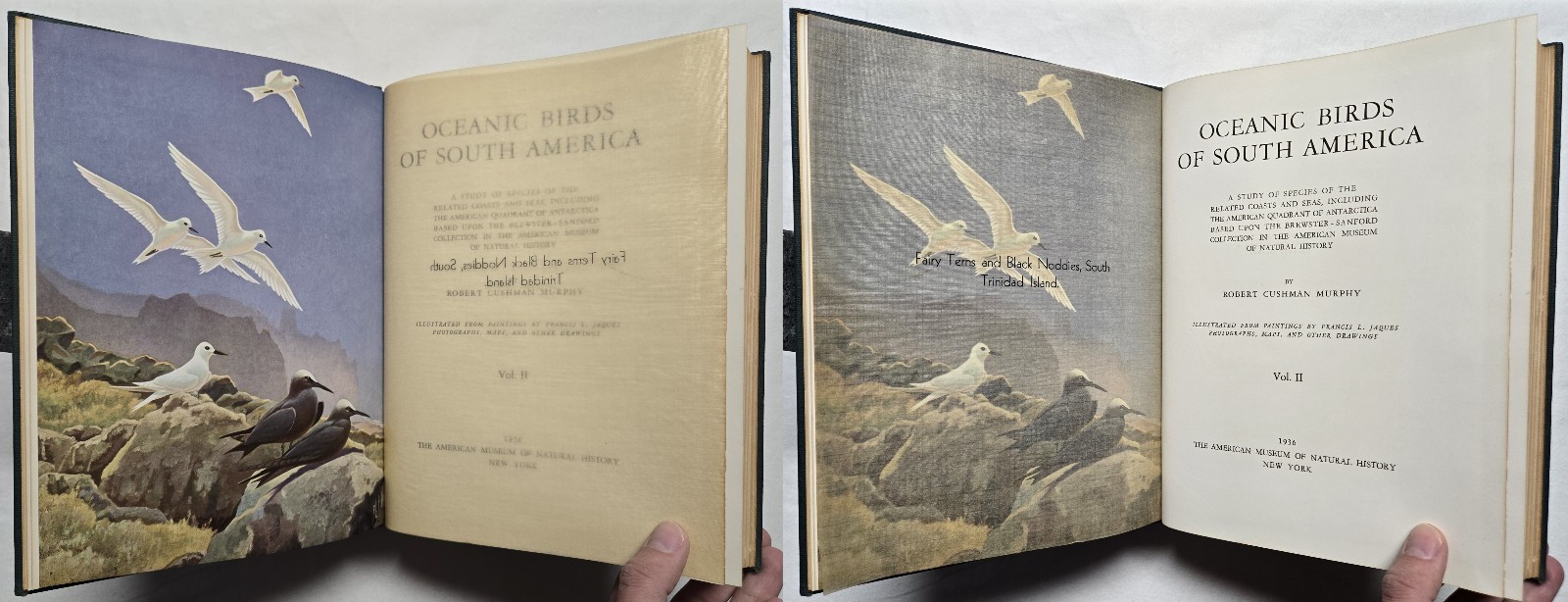 1936 SIGNED Robert Cushman Murphy OCEANIC BIRDS OF SOUTH AMERICA Ornithology