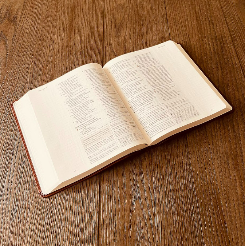 Personalized ESV Bible: Create Your Own Custom Engraved Design with a Designer