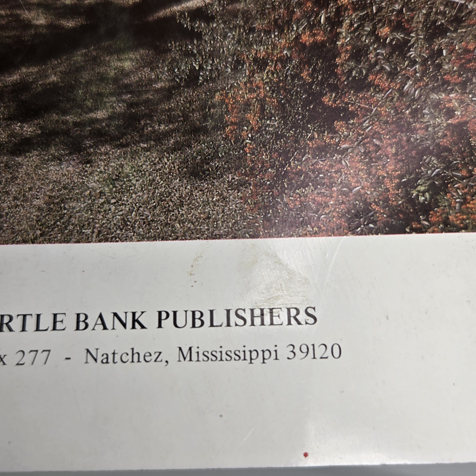 Rosalie Mansion Natchez Lucianne Wood Sarah Harrison Antebellum MS History DAR