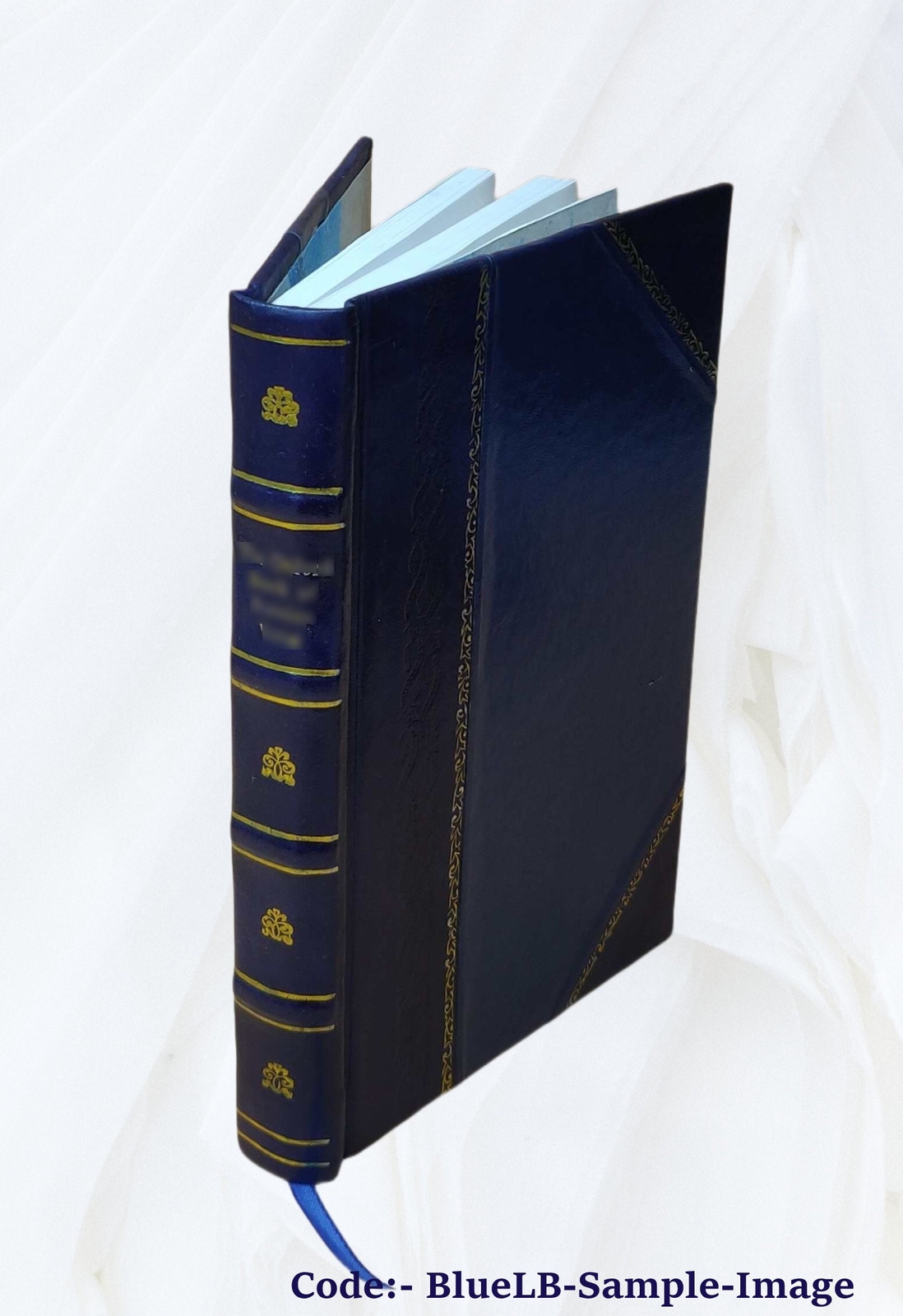 The Graphic And Historical Illustrator An Original Miscellany Of [Leather Bound]