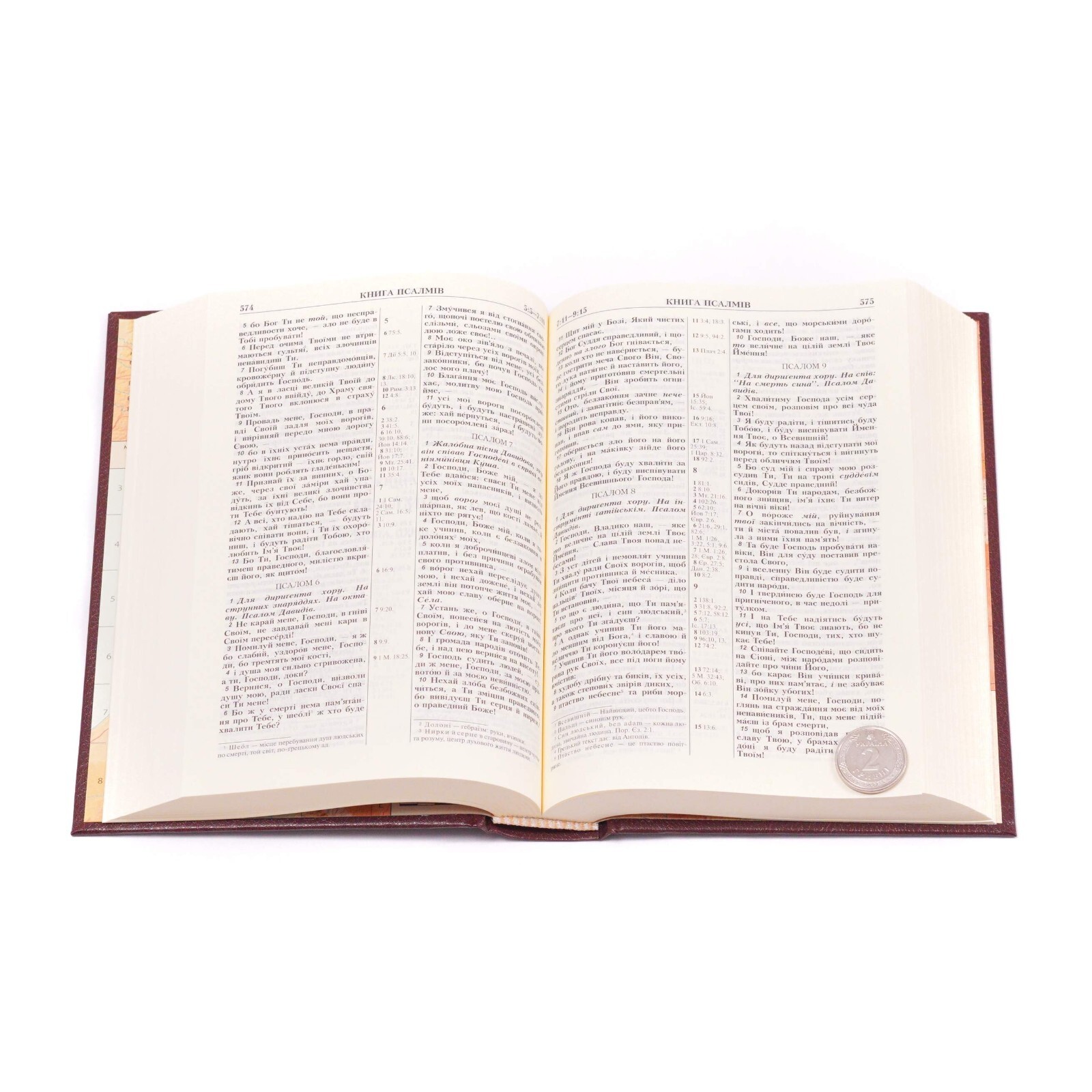 Ukrainian Bible – Біблія Святого Письма Старого й Нового Заповіту 13.5 х 18.5 cm