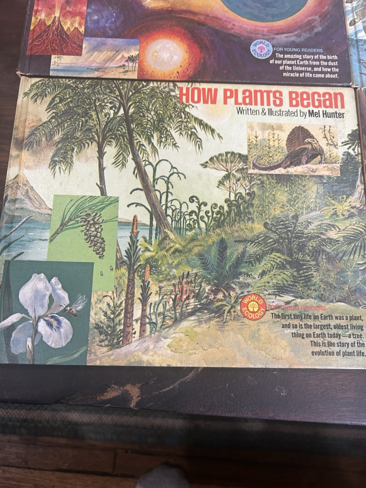 4 World Ecology for Young Readers Books Mel Hunter Fish, Plants, Mammals, Earth