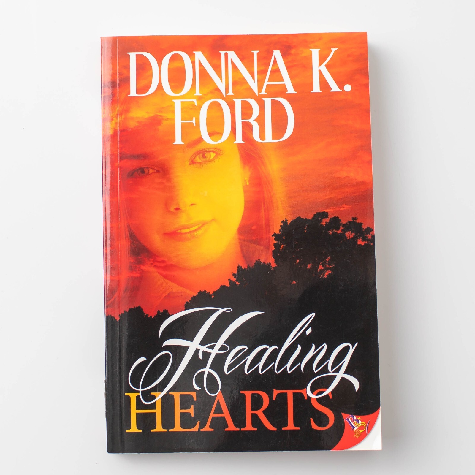 Healing Hearts by Donna K. Ford 2013 Paperback