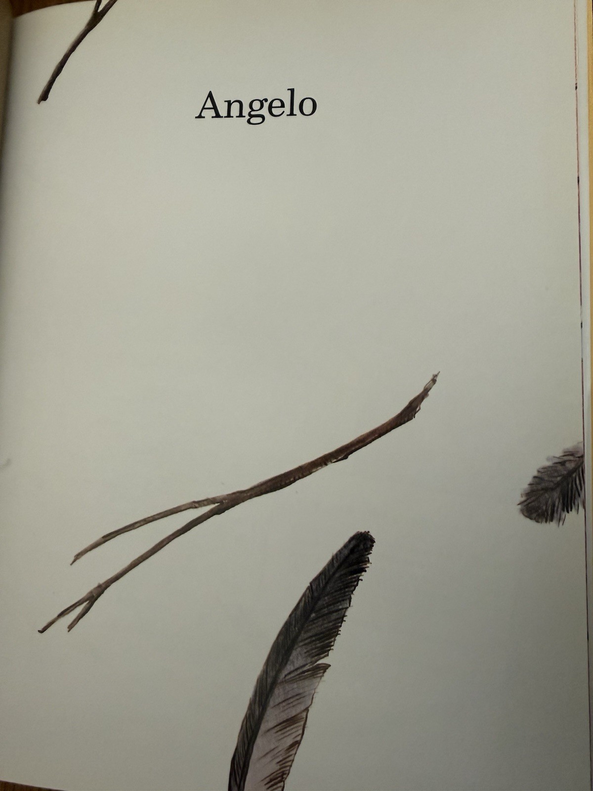 Angelo David Macaulay Hardcover SIGNED First Edition Printing 2002 Dust Jacket