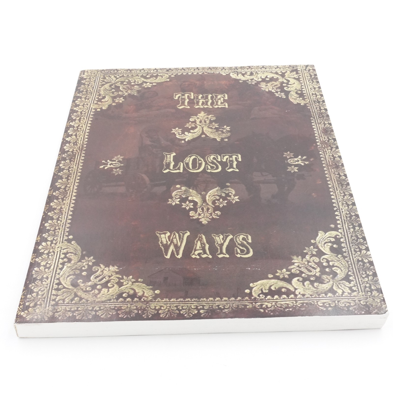 The Lost Ways Claude Davis Second Edition 2016 Illustrated Softcover Survival VG