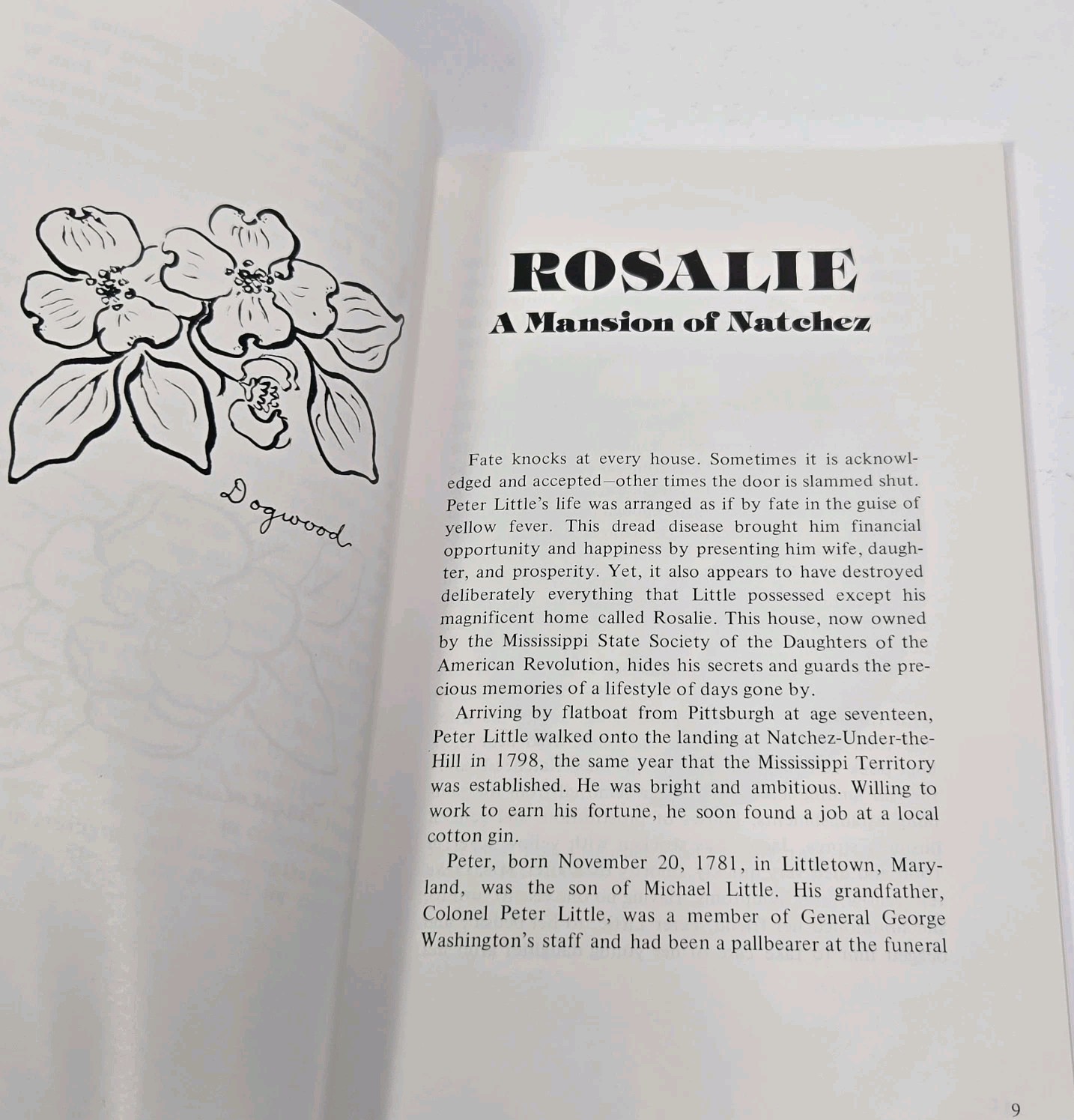 Rosalie Mansion Natchez Lucianne Wood Sarah Harrison Antebellum MS History DAR
