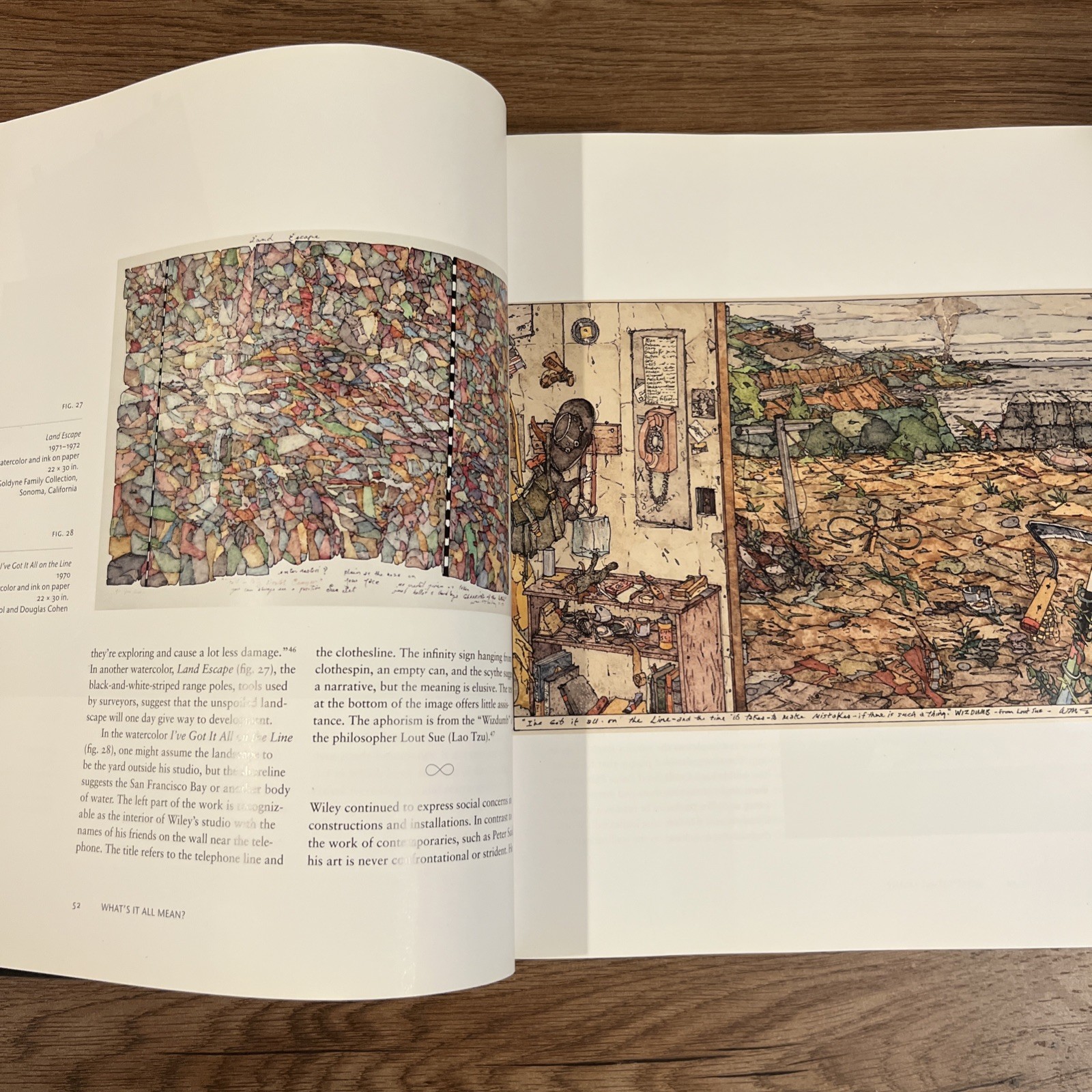 What’s It All Mean : William T. Wiley in Retrospect by John Yau (2009, Trade…