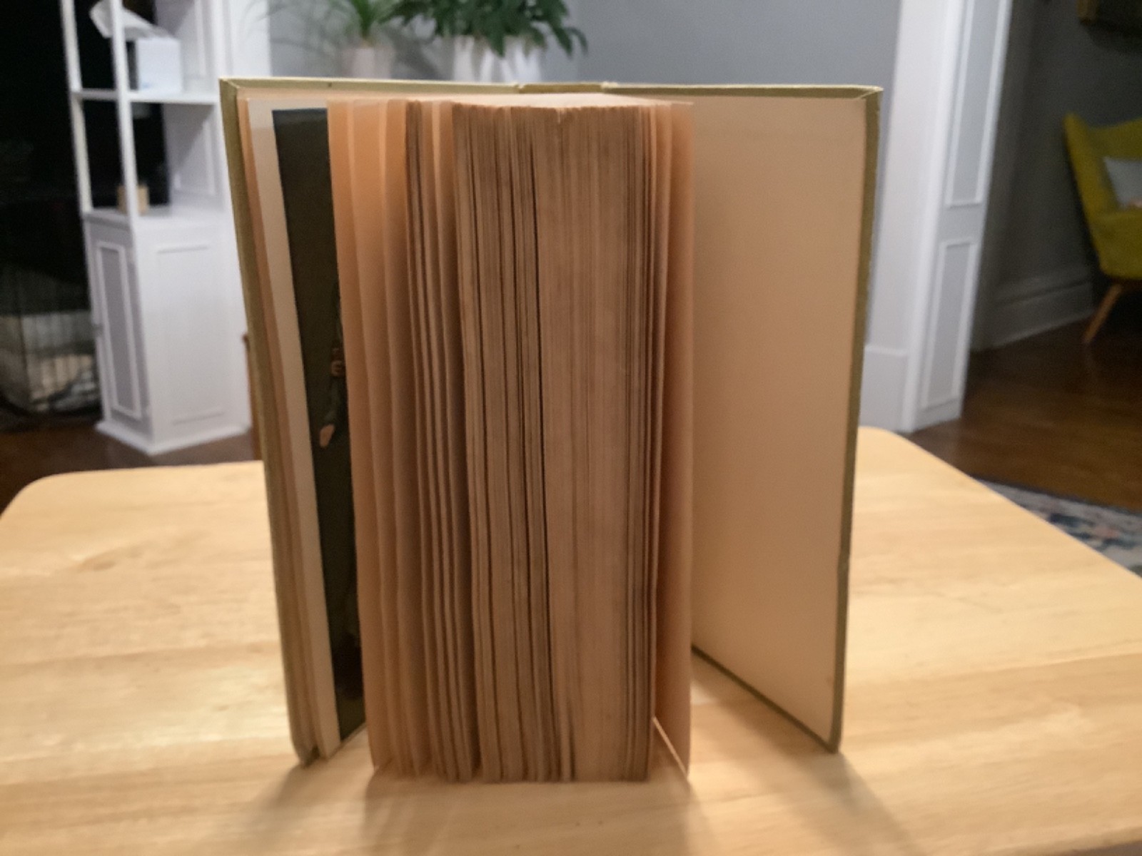 The Story Of Julia Page – Kathleen Norris 1915