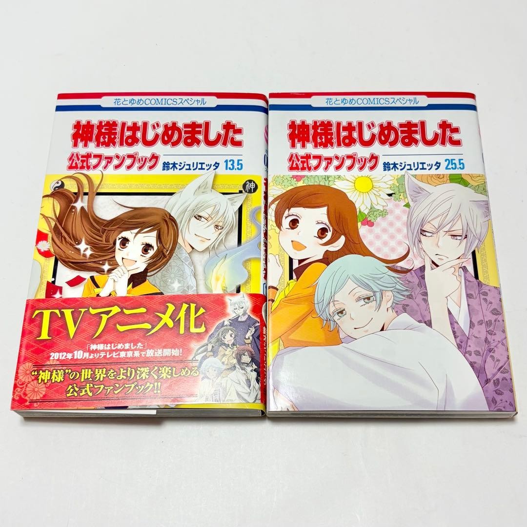 Kamisama Kiss Fan Books Vol. 13.5 and 25.5 Set First Edition