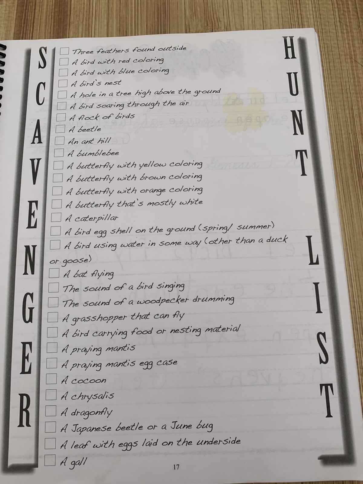 Exploring Creation with Zoology 1: Flying Creatures of the Fifth day, Junior…