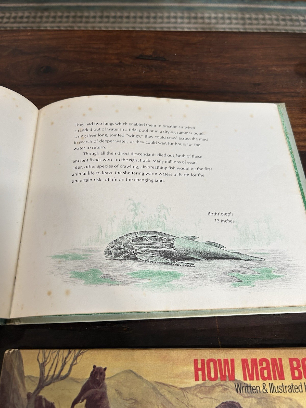 4 World Ecology for Young Readers Books Mel Hunter Fish, Plants, Mammals, Earth