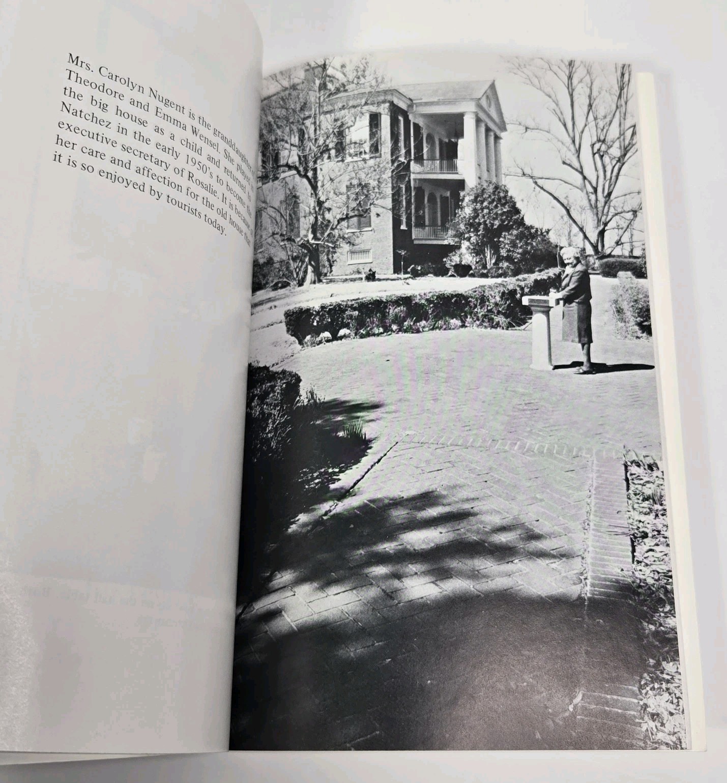 Rosalie Mansion Natchez Lucianne Wood Sarah Harrison Antebellum MS History DAR