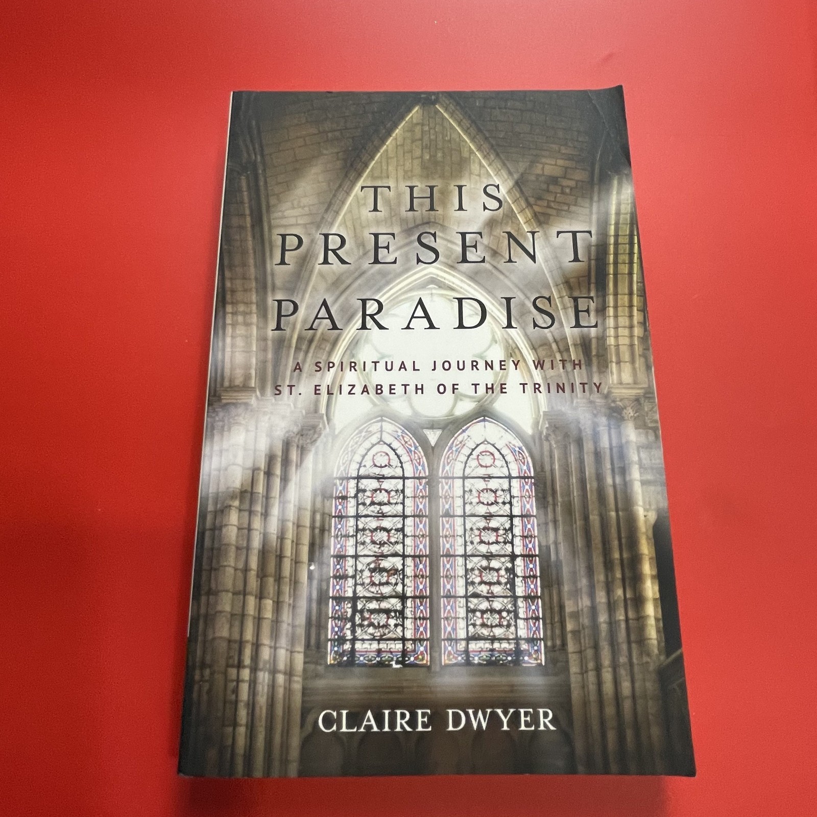 This Present Paradise – Paperback By Claire Dwyer – GOOD
