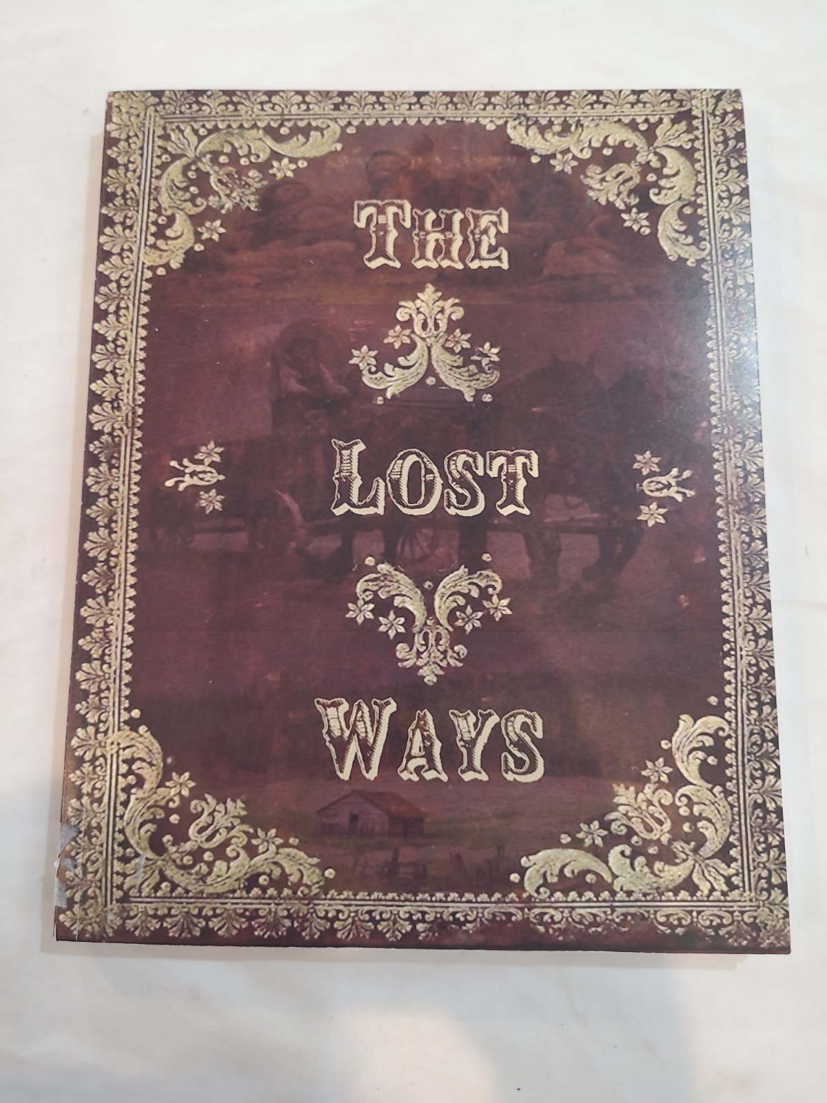 The Lost Ways Book 1 By Davis 4th Ed 2019 Paperback Homesteading Manual Prepper